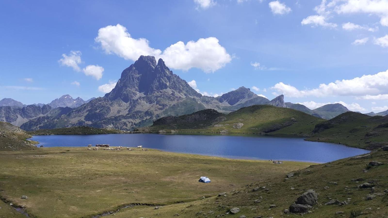 Appartamento Valdi-Biescas Esterno foto